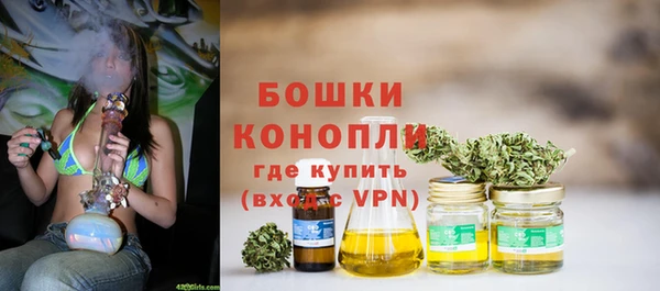 гидра Липки