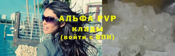 гидра Липки