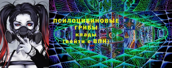 гашик Лиски
