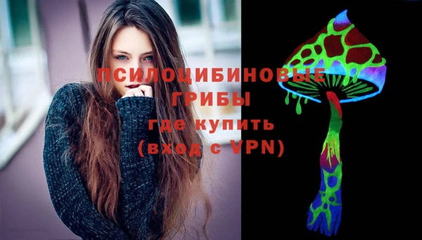 гашик Лиски