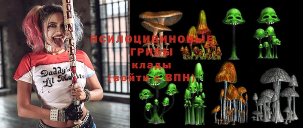 гашик Лиски