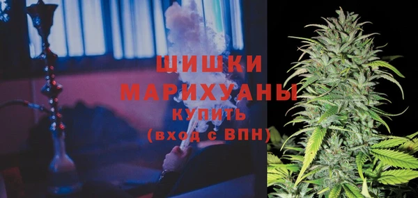 гашик Лиски