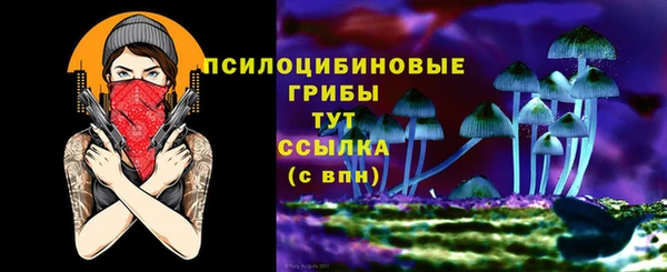 гидра Липки