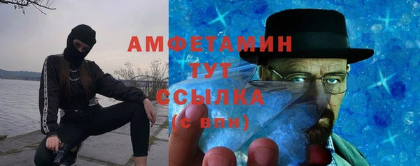 гидра Липки